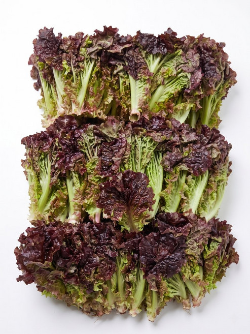 적쫑 쫑상추 1박스(4kg내외), 1박스, 4kg