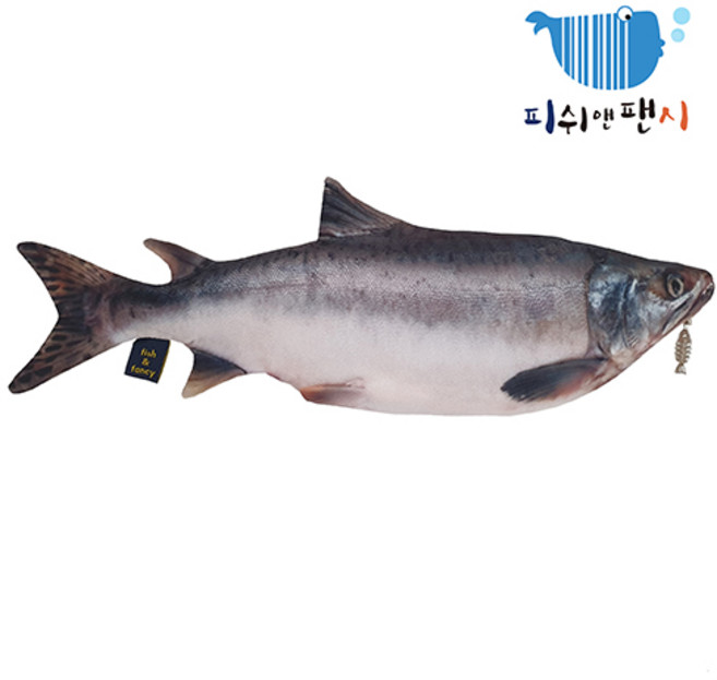 피쉬앤팬시 정품 연어필통 물고기필통 생선필통, 연어, 1개