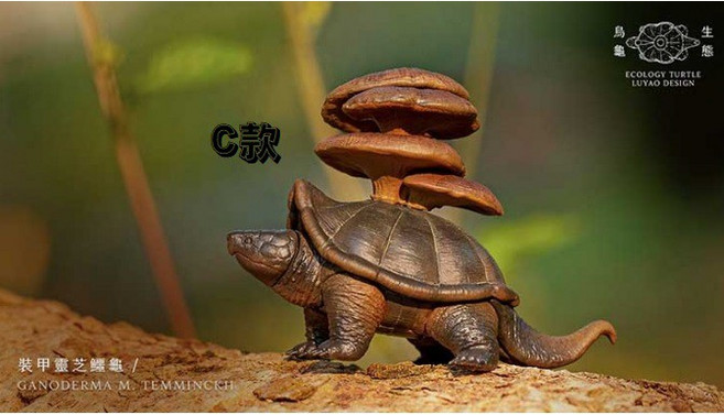 M.M小舖 路遙圓創 轉蛋 扭蛋 生態烏龜 菇類 珊瑚 海龜 陸龜 植物 全4款, 1個, #不補C款/鱷龜 1F桌