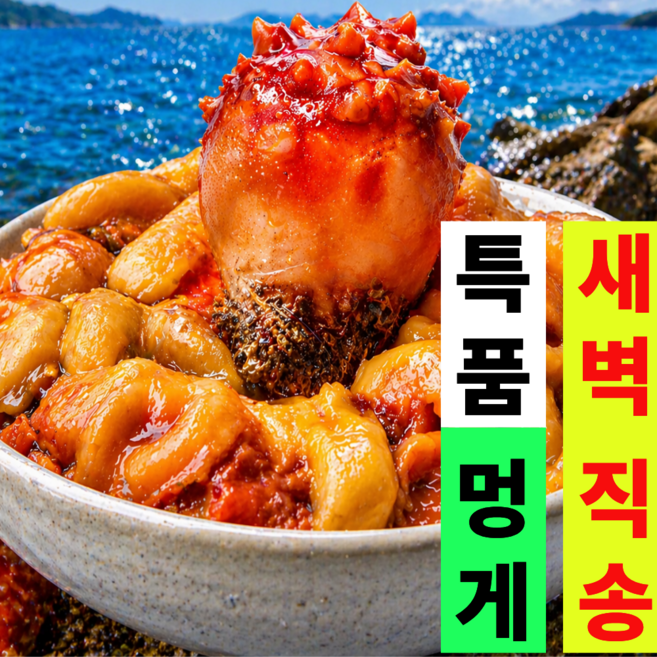 [초대박1위A등급] 통영 활멍게 생물멍게, 1개, 3kg(특품질)
