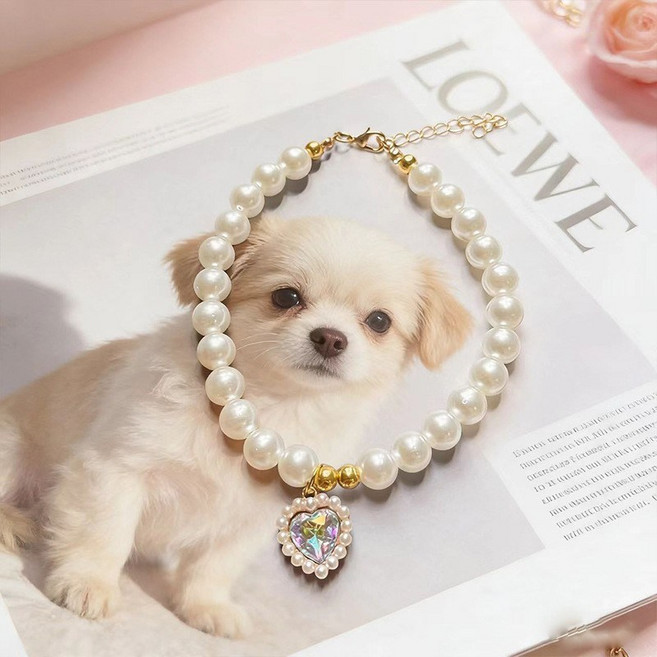 리노아 반려동물 선물 목걸이 펫 액세서리 고양이 강아지 공용 귀여운 장식 촬영 소품, 1개, 01멀티 컬러