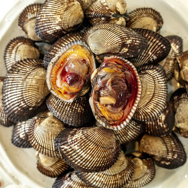 산지직송 당일조업 국내산 특품 피꼬막 왕꼬막 피조개 피고막, 1개, 10kg