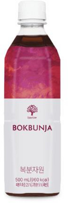 암웨이 라임트리 복분자원 500mL 음료베이스 복분자원액 산뜻한 단맛