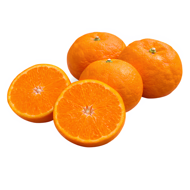 [재구매율1위] 16brix꿀당도 제주 카라향 귤, 1박스, 2kg