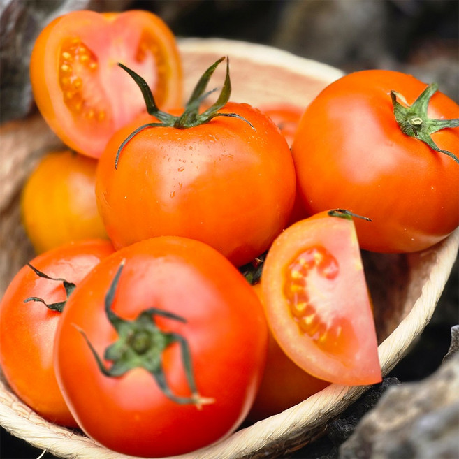 국내산 스테비아 완숙토마토 특품 1kg 2kg 망고향 레몬향, 1박스, 스테비아 완숙토마토(망고향)2kg