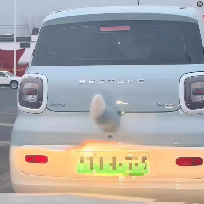 차량용 움직이는꼬리 2차원 귀여운 자동차 엉덩이 아이디어 장식품 리모컨 부착 인테리어 여자 보송보송한꼬리 동물 털 남자 선물 여우꼬리, 1개, 움직이지않는꼬리[블루화이트]+벨크로단일규격