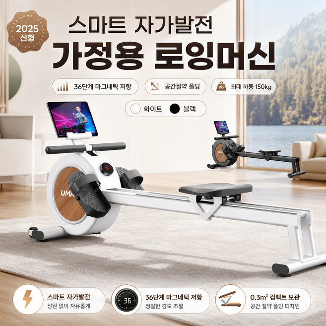 6위 - 핏로우 가정용 로잉머신 저소음 접이식 실내 전신운동 헬스 홈트 조정 노젖기 유산소 근력 피트니스, 일반형(1
