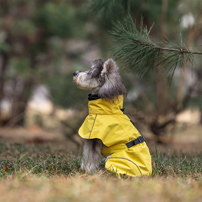 담다펫 강아지 레인코트 우비 산책비옷, 1개, 옐로우