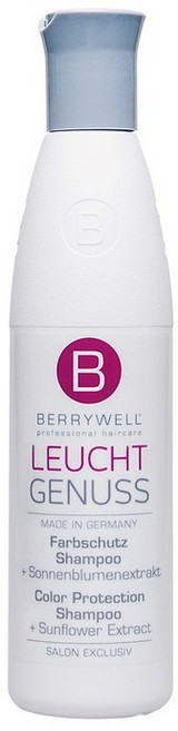 베리웰 컬러 프로텍션 보색 샴푸 250ml 약산성 저자극 염색모 손상모 탈색머리 샴푸, 1개