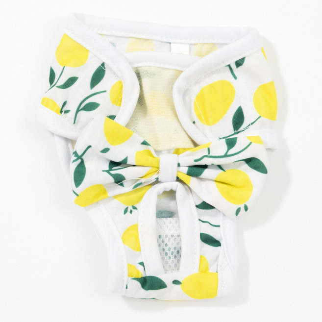 암컷 강아지 생리팬티 위생팬티 발정기 매너팬츠 반려견 생리기저귀 생리용 팬티, 1개, 옐로우