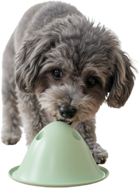 잔느펫 킁킁 꼬깔 노즈워크 장난감, 1개, 그린