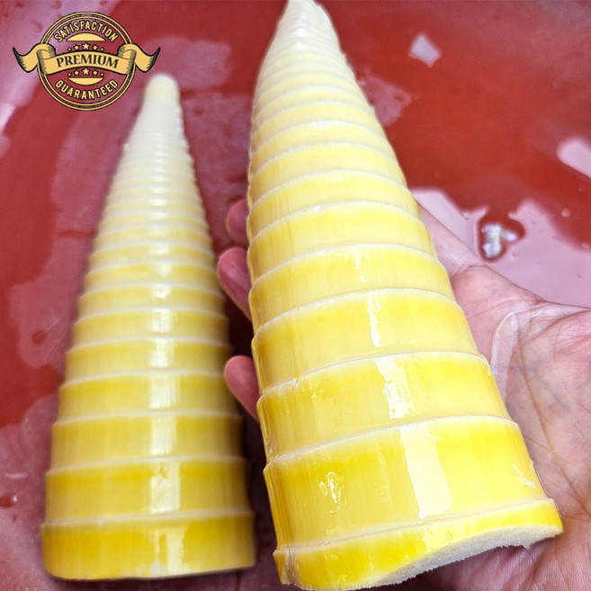 [프리미엄 국내산 죽순] 거제도 프리미엄 햇죽순 수확 삶은죽숙국산, 1개, 10kg