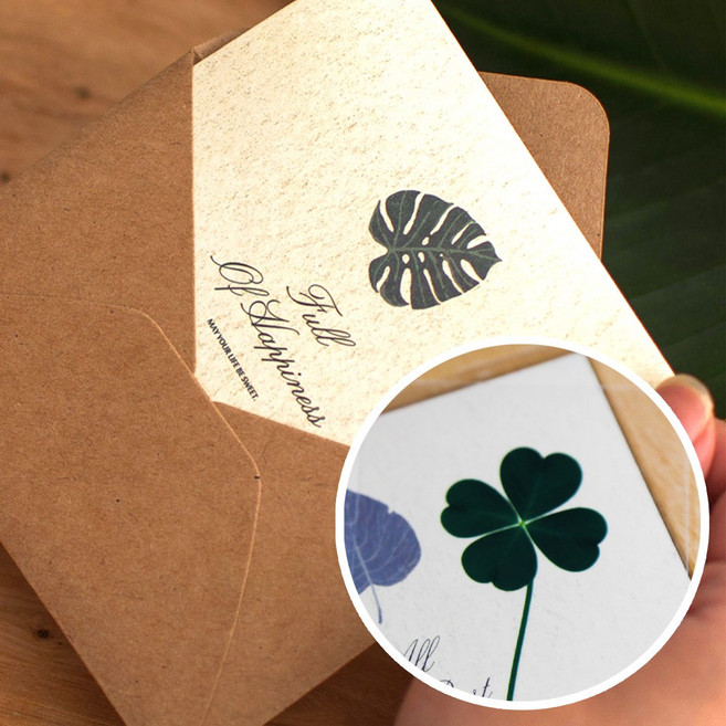 자연드림 네이처 리프 편지봉투와 행운의 네잎클로버 5세트, B