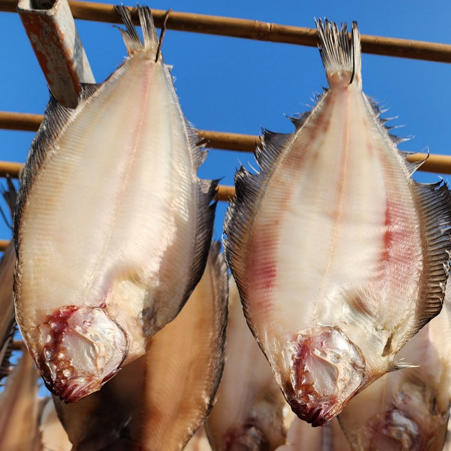 국산 구룡포 반건조 기름 가자미, 대(26-30cm), 10개