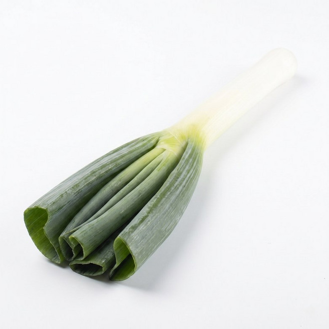 대파 수입 중국산 손질 깐대파 대용량 5kg 1개
