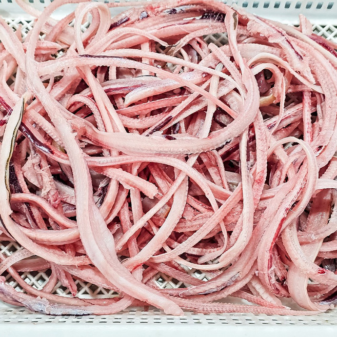 국내산 장어 머리 뼈 10kg 냉동 육수용, 1개, 장어뼈10kg