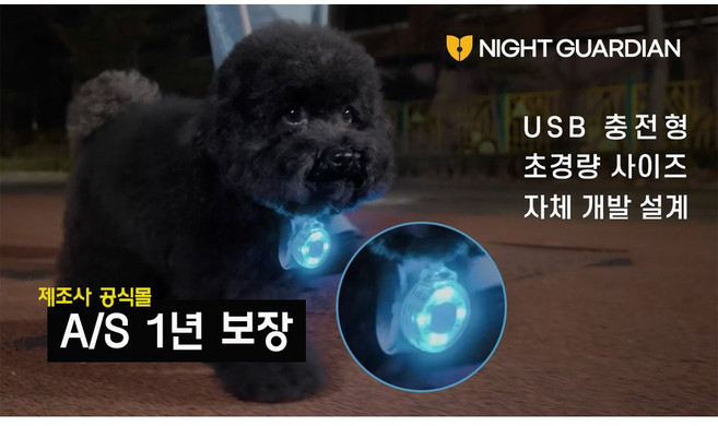 나이트가디언P 반려견 야간 산책 LED 랜턴 목걸이 USB 팬던트 후레쉬 강아지 사은품 목걸이 증정, 1개
