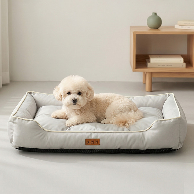 치와와 사계절 강아지 사각방석, 1개, 그레이-추천