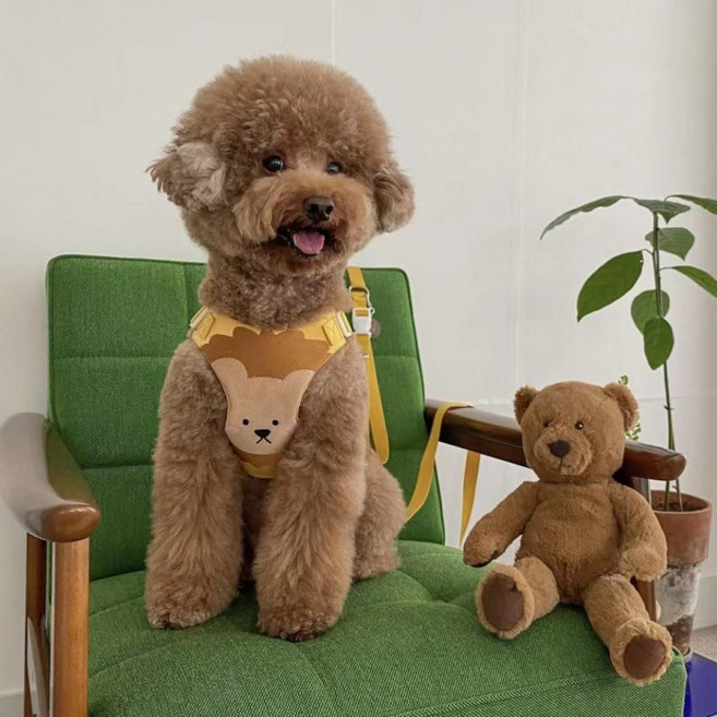 [가지가지] 하네스세트 반려동물 매쉬소재 앞섬방지 기도보호 산책줄 가슴줄 X줄 목줄 경량하네스 리드줄, 하네스세트_E 엘로우 사자_S