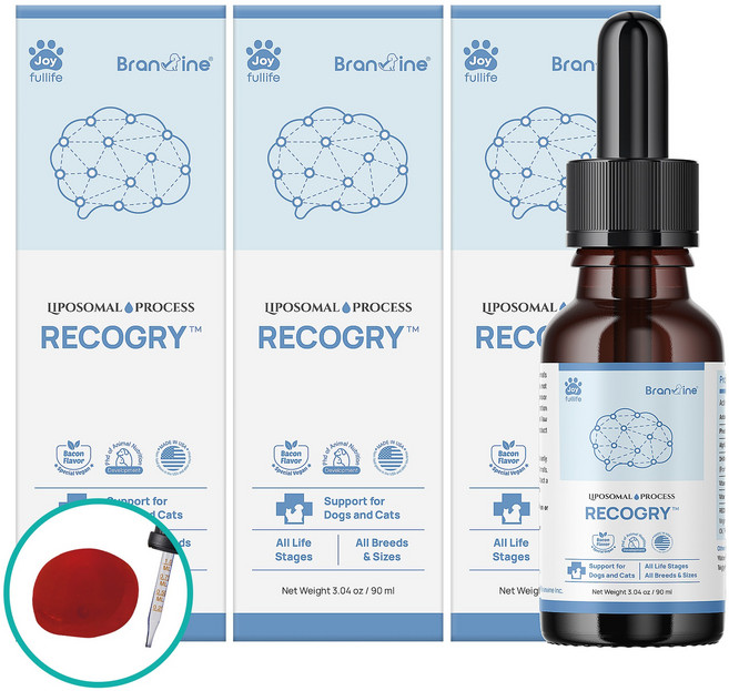브랜바인 강아지 고양이 두뇌 영양제 리코그리 치매 기억력 인지장애, 3개, 90ml, 뇌/인지