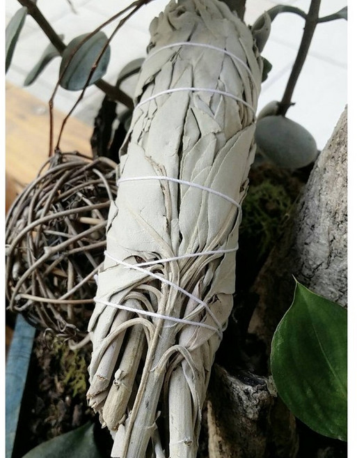 藥魂5-6吋白鼠尾草棒, 1個