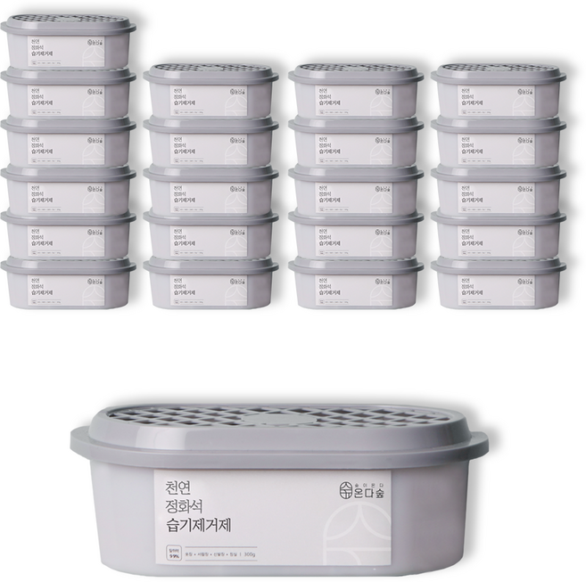 온다숲 반영구 천연제습제 습기제거제 정화석 탈취까지, 300g, 22개