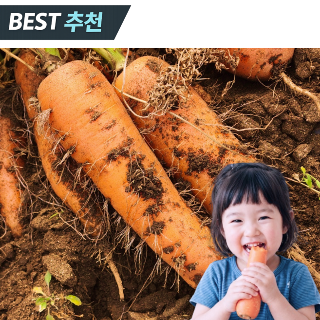 [품질보장] 국내산 햇 흙당근 최상품, 1박스, 중 2kg