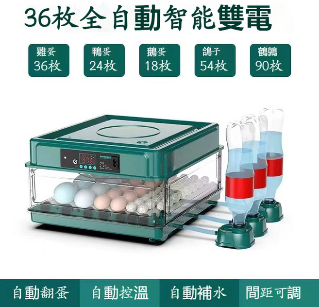 全自動智能孵蛋器 128枚容量 抽屜式孵化箱, 36枚雙電【自動上水+自動翻蛋】, 1個