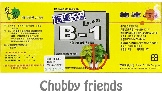 翠筠 施達B1 植物活力素 含豐富維他命B, 1個