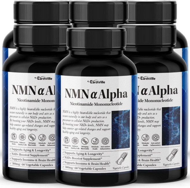 어스빌 NMN 고순도99.9% 500mg 영양 효능 엔엠엔, 6개, 60정