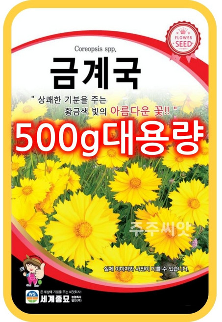 금계국 씨앗 500g 대용량 꽃 종자 golden wave flower seed, 1개