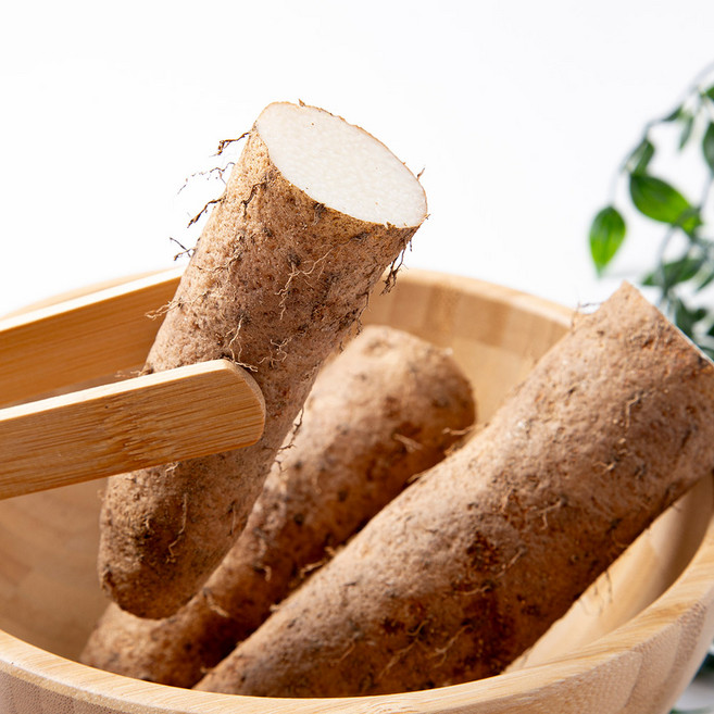 땅속의 힘 국내산 장마 (실속형) 2kg / 산마 안동마 진주마 참마 마씨 마씨앗, 1세트