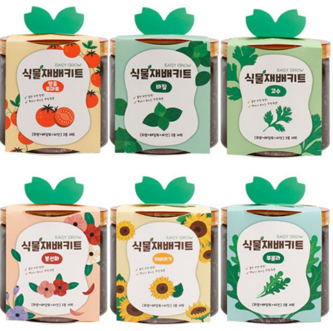 식용 채소 식물 재배키트 방울토마토 딸기 바질 고수 키우기 이지그로우, 09파슬리, 1개