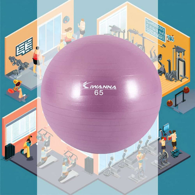 홈트 짐볼 65cm 라일락 헬스 밸런스 코어 몸매관리 임산부 스트레칭