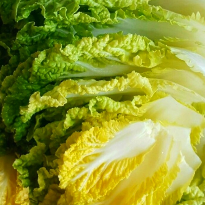 [굿피플] 봄동 봄동배추 봄동겉절이 쌈배추봄동 진도봄동 봄똥 알배기 [봄동or베타봄동], 1박스, 15kg