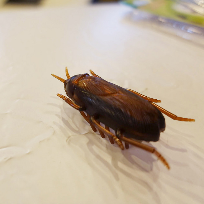 23 할로윈 인테리어 데코, 88_기어가는 진동 바퀴벌레, 1개