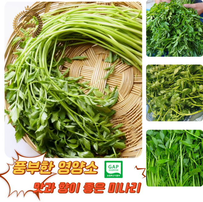 [굿피플] 미나리 손질미나리 청도미나리 국내산미나리 한재미나리 나주 돌미나리 [미나리], 4kg, 1박스