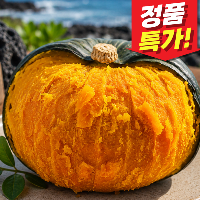 [26년정품특가] 제주 보우짱 미니 밤호박, 1개, 곧마감_ 3kg 정품로얄_ (인기!