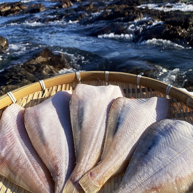 [산지직송] 동해안 자연해풍 반건조 참가자미 가자미, 1박스, 중 2kg(12-16미)