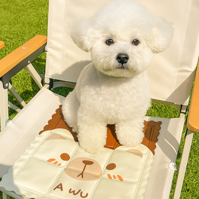 바모즈 강아지 고양이 반려동물 쿨방석 쿨젤방석 사무용 운전용 여행용 캠핑용, 옐로옐로 병아리