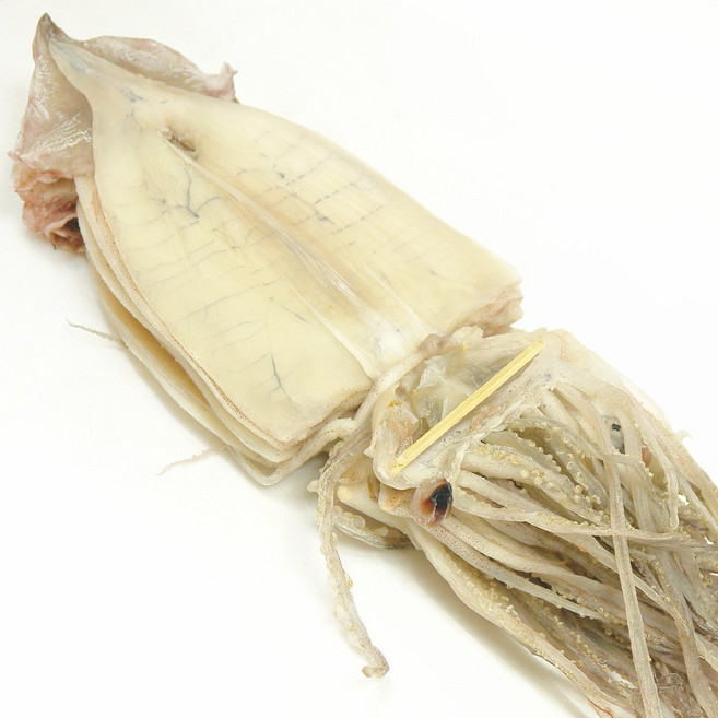 반건조오징어 10마리 (약700g) 피데기 국내 동해안산 쪽빛누리, 700g, 1개