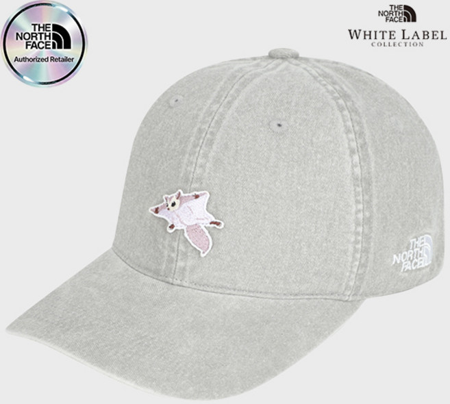 [노스페이스] 로고 볼 캡 와펜 NE3CS06L_GRY