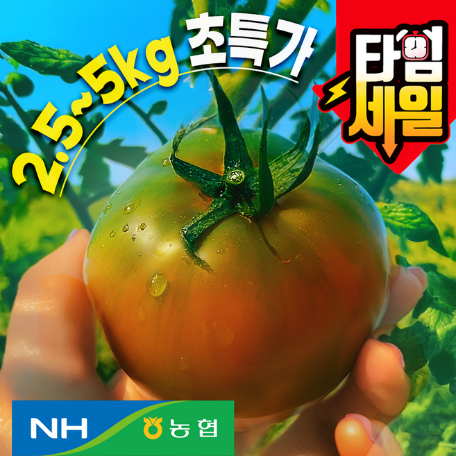 [최저가이벤트곧종료!!]농협정품 못난이 대저토마토 초특가, 1개, 5kg (2.5x2박스) 랜덤과