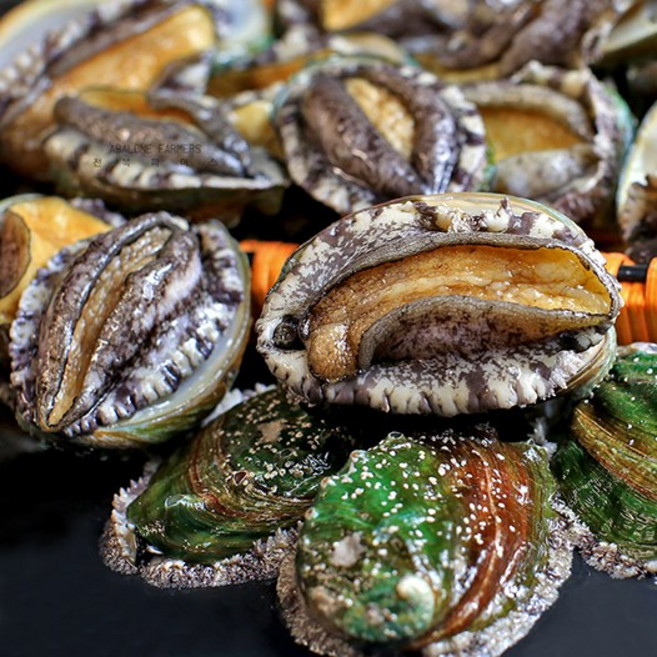 산지직송 완도전복 크기별 6미 - 27미 1kg 특대전복 꼬마전복 대왕크기 완도전복 선물포장, 1박스, 중전복 17-19미 1kg