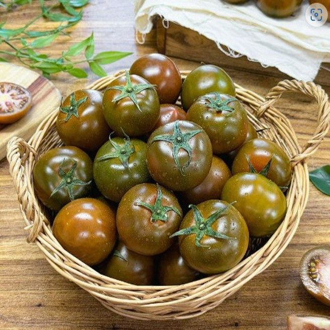 보성 흑토마토 5kg, 1개, 단품