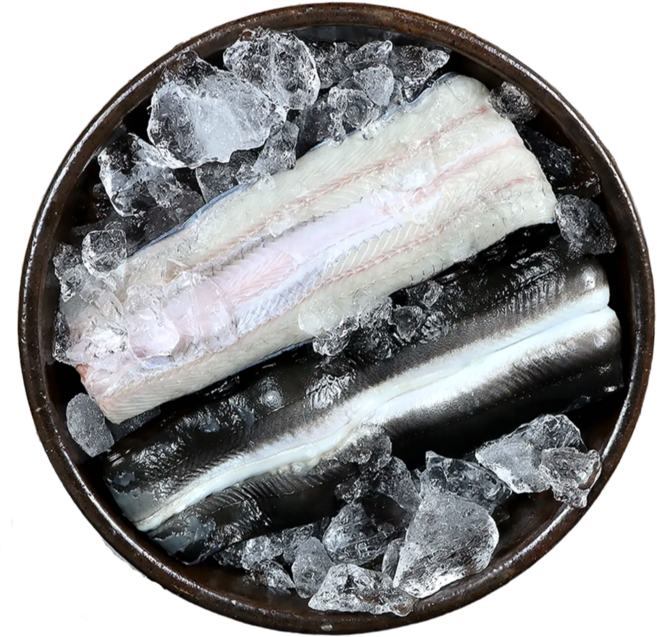 국내산 자포니카 민물장어 손질 초벌구이 여름보양식 추천, 1박스, 민물장어 손질후 700g내외(1-3미)