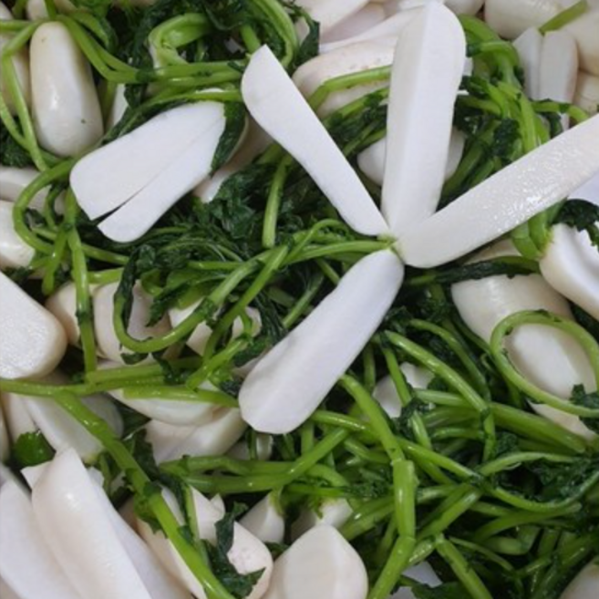 [별님농원]손질 절임 세척 알타리 무, 10kg, 1개