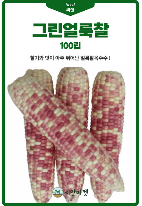 그린얼룩찰 옥수수 씨앗 100립 찰기가 좋은 얼룩 옥수수씨 종자, 1개