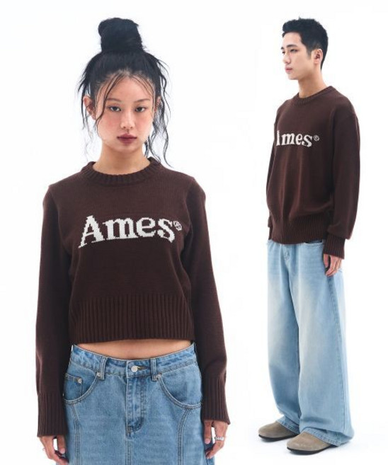 아메스 월드와이드 amesworldwide BASIC PULLOVER KNIT BROWN
