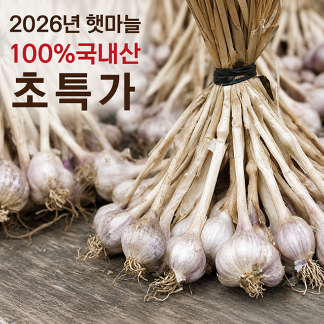 [100%국내산] 초초특가 산지직송 햇마늘, 1박스, 1kg